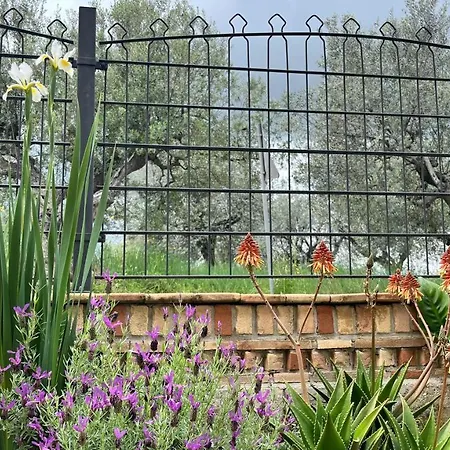 Appartement La Lavanda Controguerra