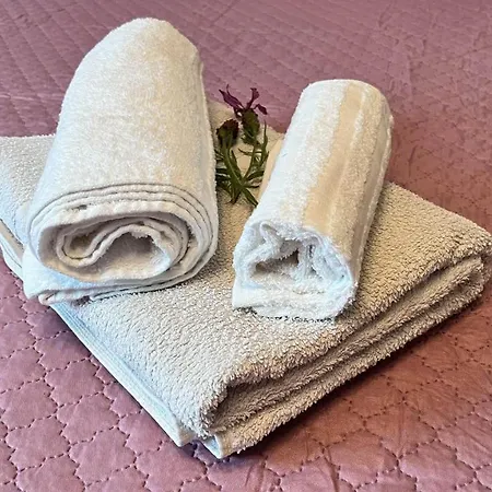 La Lavanda Controguerra