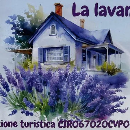La Lavanda