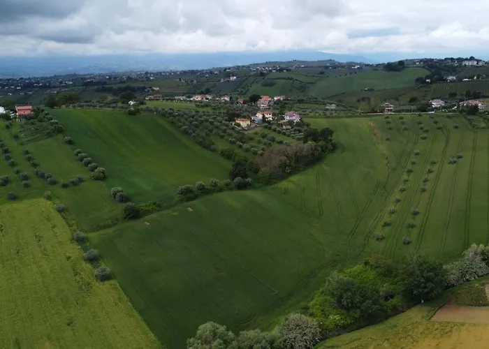La Lavanda Controguerra