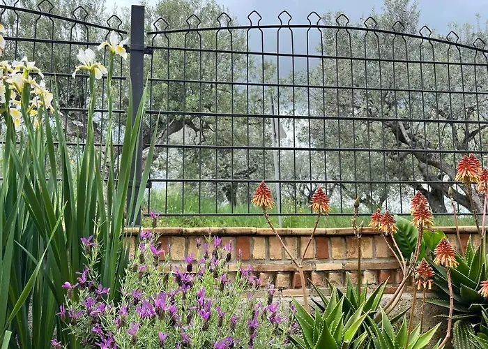 דירה La Lavanda Controguerra