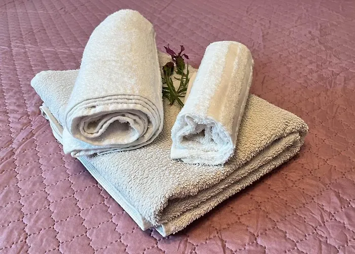 La Lavanda Controguerra